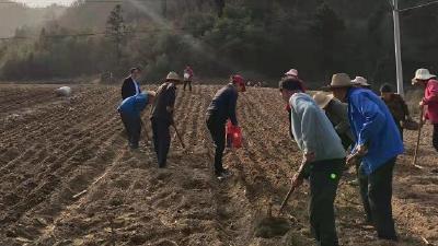 土城镇：阳春三月风光好，正是春耕备农时