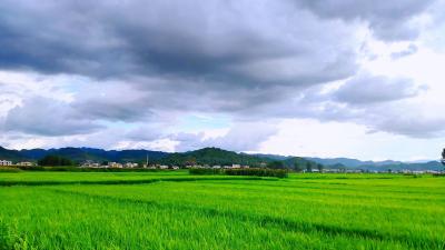 县十九届人大常委会第四次主任会议召开  