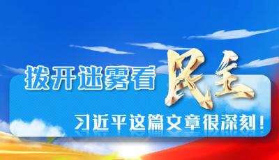 学习进行时丨拨开迷雾看民主，习近平这篇文章很深刻！