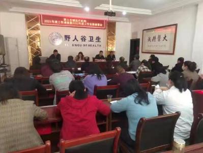 野人谷镇召开2022年卫生健康工作会议
