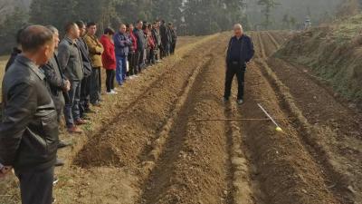 中坝乡：聚焦“五心”办实事 助农发展烟经济