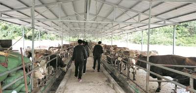 ​中坝乡：五个“一”破茧成蝶谱新篇