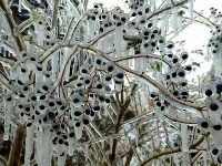 三月飞雪遇春花，房县雪景美如画......
