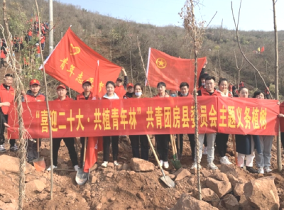 团县委：喜迎二十大  共植青年林