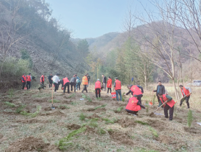 大木厂镇：植树添绿齐行动