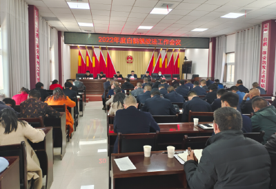 白鹤镇召开2022年度政法工作会议
