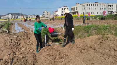 房县军店镇：人勤春来早  春播正当时