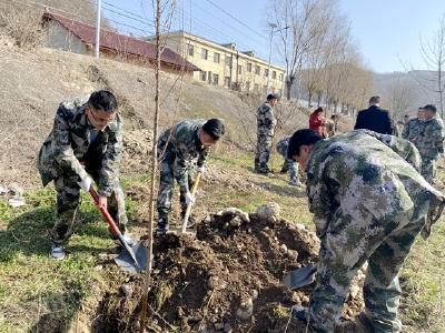 门古寺镇：青山就是美丽 植树造就青山