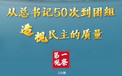 第一观察｜从总书记50次到团组透视民主的质量 