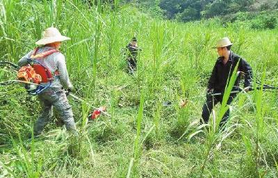 【我为群众办实事】县畜牧中心：从办公室到“田间地头”