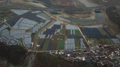 尹吉甫镇：产业发展势头旺  增收在望暖人心