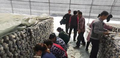 民政局驻村工作队：谋划产业发展 助力乡村振兴