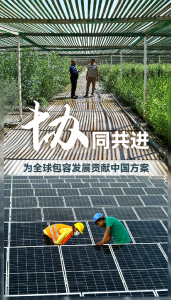 聚焦于“协”，增进全球绿色协调可持续发展的经济学——习近平经济思想的世界启示述评之四