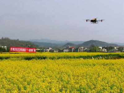 房县：“一促四防”促夏油丰收