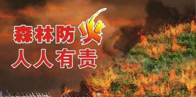 中坝乡“三个三”筑牢护林防火安全防线