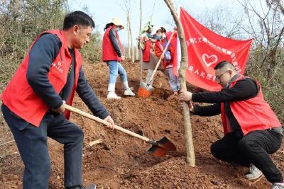 房县人民医院：我为家乡添新绿