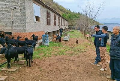 县畜牧兽医服务中心  “六轮驱动”推进畜牧业高质量发展