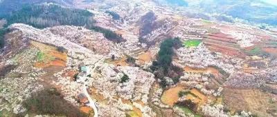 化龙堰镇：关爱精神障碍患者，走访服务暖人心