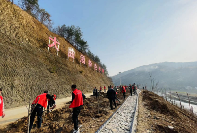 中坝乡：植树造林滋沃土 优化环境美家乡