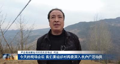 【春耕备耕】尹吉甫镇：艾草种植培训走进田间地头 全镇掀起艾草产业发展热潮