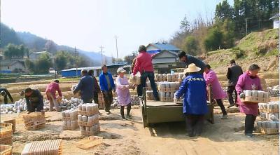 ​土城镇塘埂村：把握农时抓好春季农业生产