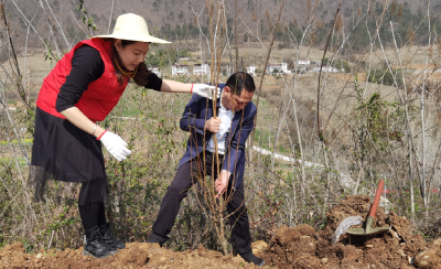 尹吉甫镇：春意盎然植树忙   绿满乡村添新景