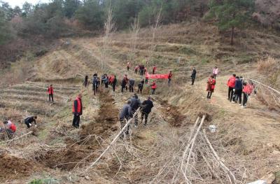 红塔镇按下春耕备耕“农忙键”