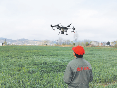 房县：无人机高效率