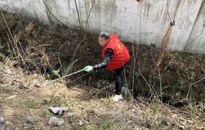 回龙乡：扮靓乡村不负春  环境整治进行时