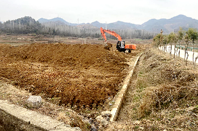 化龙堰镇发展大棚种植不断提高农户种植效益