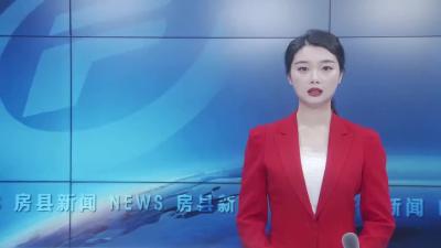 立足岗位  敬业奉献  巾帼向党展风华