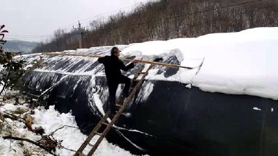 沙河乡: 大棚除雪保安全