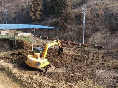 军店镇：开展养殖场粪污治理“雷霆行动”