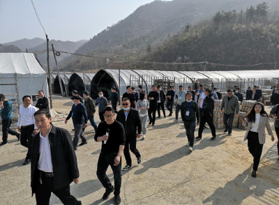 十堰市乡村振兴暨主导产业主题培训班学员来房 观摩学习