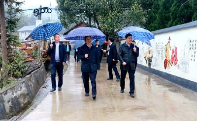 纪道清到中坝门古调研时强调：加快产业链提档升级 “项目化”推进示范村建设