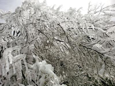 “冻雨”暴雪来袭 上龛很美很艰难 干部群众抗灾自救