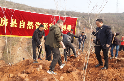携手添新绿  共建示范县——房县自然资源规划局干部积极参加义务植树