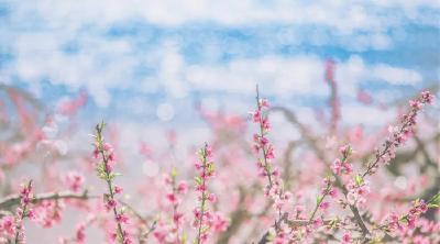 县实验小学：开展春季传染病防控知识教育