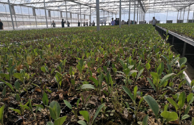 门古寺镇治理人情“歪”风让文明新风蔚然成风