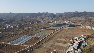 军店镇军马村：产业振兴带动乡村蝶变