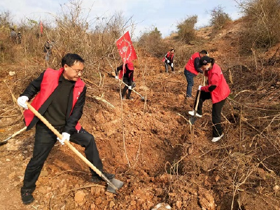 房县农机服务中心：积极开展义务植树活动 