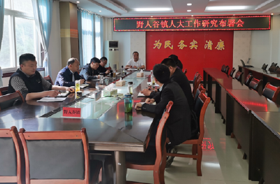 野人谷镇召开人大工作研究部署会