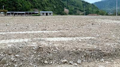 大木厂镇：“小田”变“大田” 增产又增效