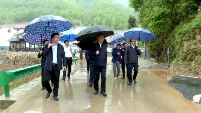 马朝晖来房调研林长制和乡村振兴工作