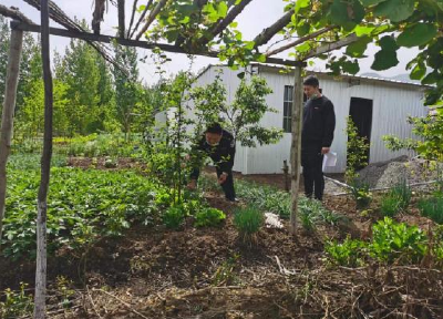 房县城关镇：全力铲除罂粟　大力宣传禁毒知识