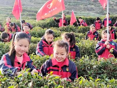大木小学：开展户外劳动技术教育实践活动