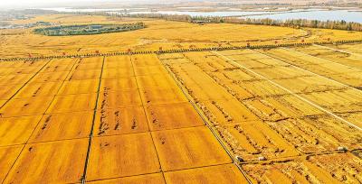 《求是》杂志编辑部：做好新发展阶段“三农”工作的行动纲领
