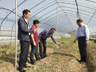 省、市专家联合到房县调研中药材产业链