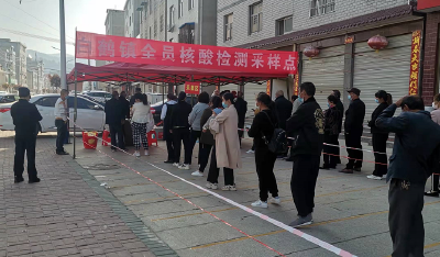 白鹤镇开展区域应急核酸检测演练