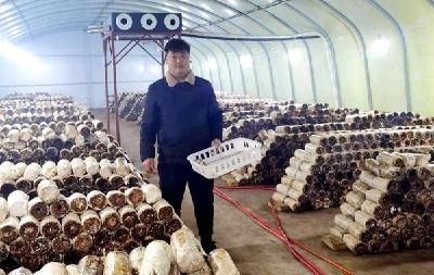 红塔镇：做实党建引领“四篇文章”   点燃乡村振兴“主引擎”